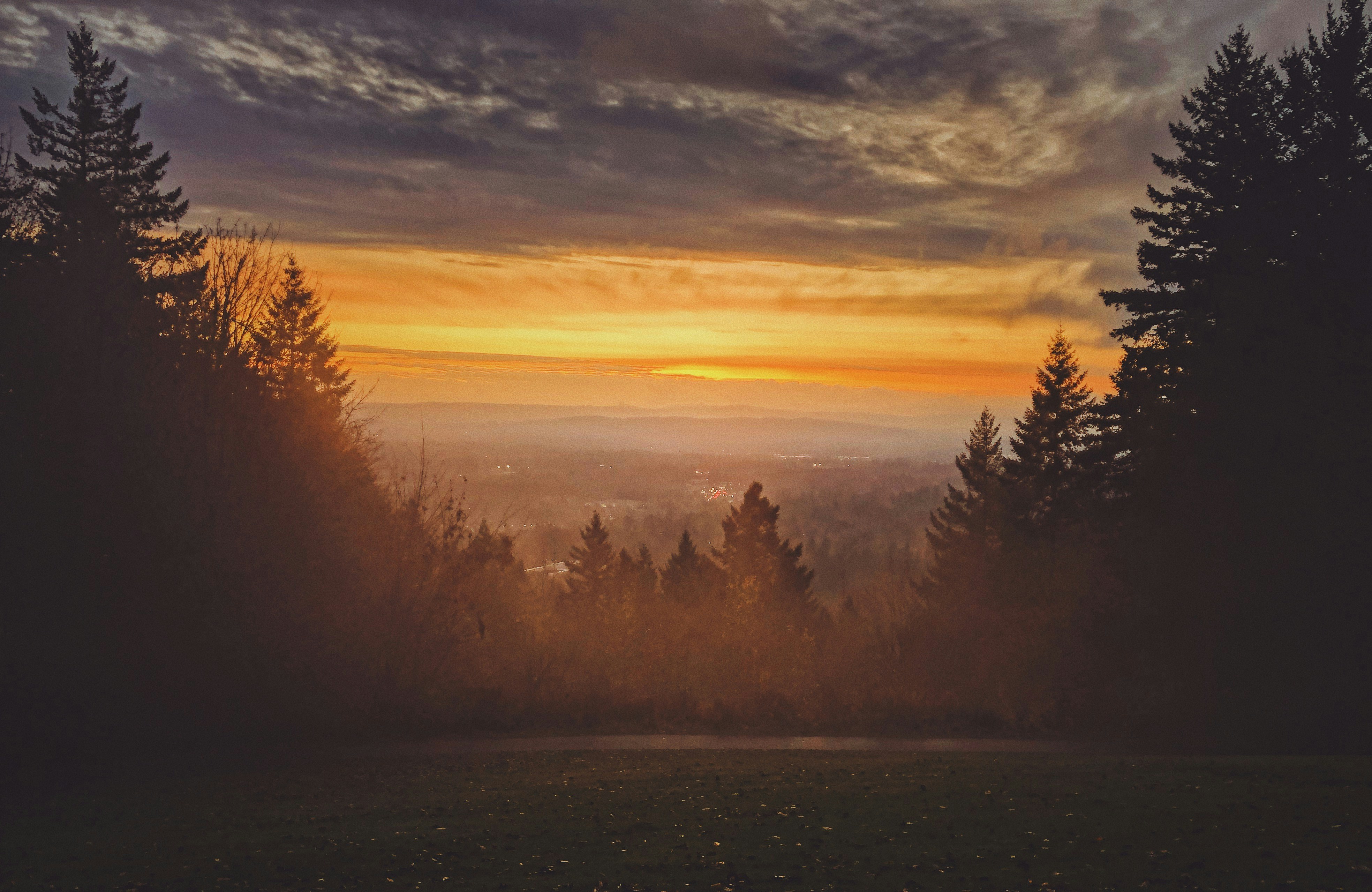 view photography of trees and mountain during dawn