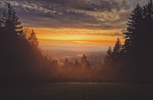 A scenic view of a sunset over a forested landscape. The sky is filled with dramatic clouds partially lit by the warm orange and yellow hues of the setting sun. Tall trees frame the scene, creating a silhouette effect against the vibrant sky.