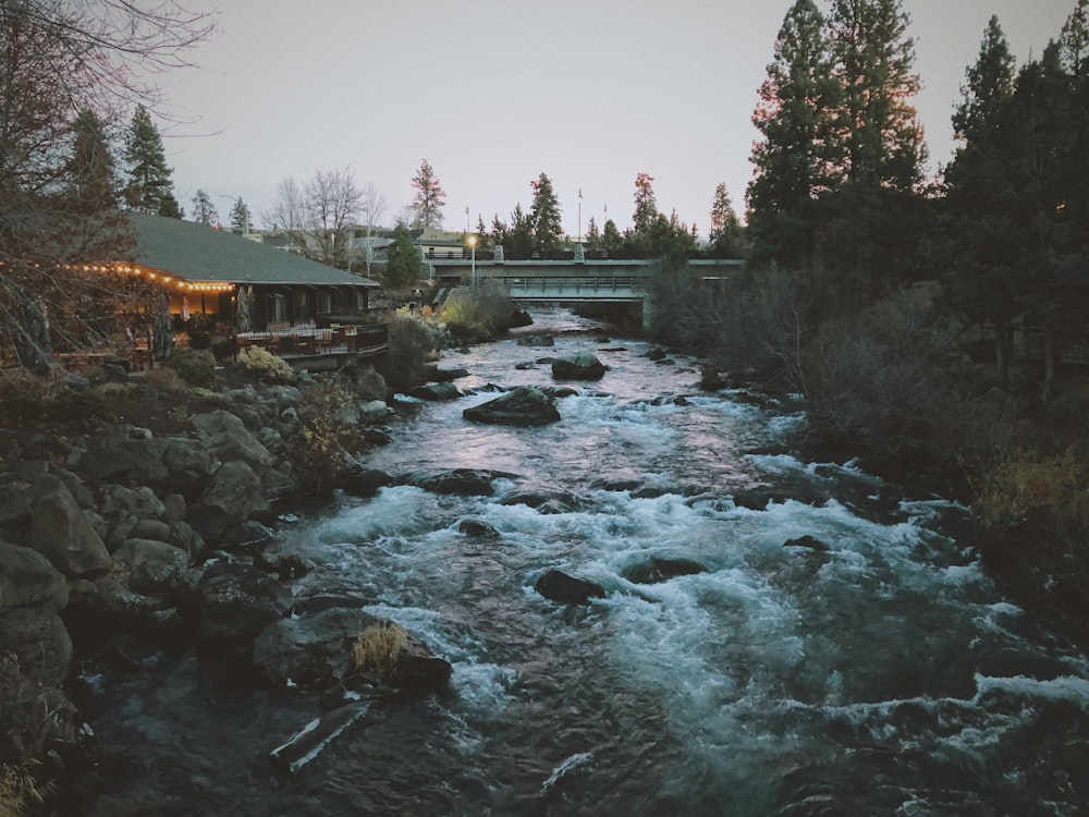 time-lapse photography of a flowing body of water