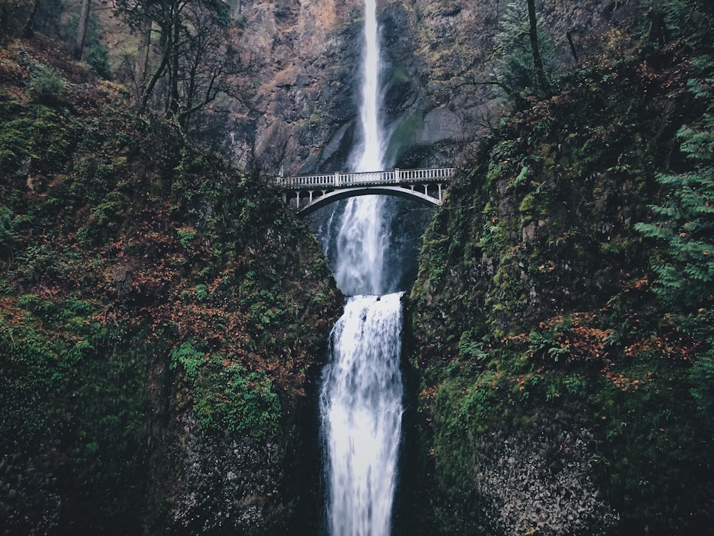 time-lapse photography of a flowing multi-tier waterfall