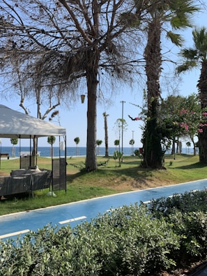 Guests cycling along a scenic coastal path lined with palm trees.