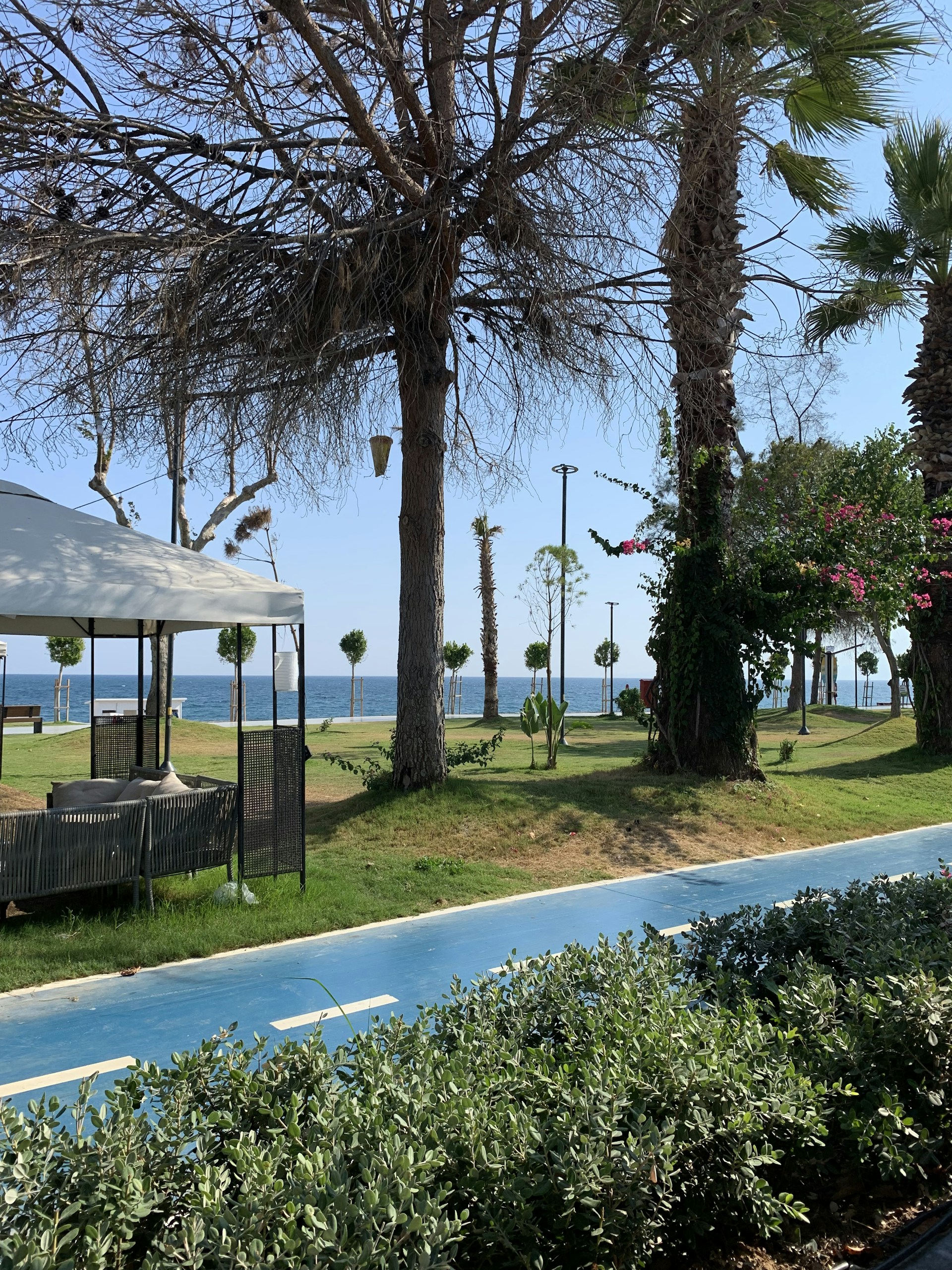 woman wearing yellow long-sleeved dress under white clouds and blue sky during daytime