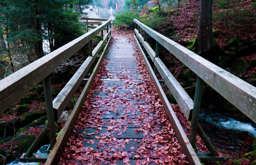 Sehen Sie sich die Fotografie einer grauen Holzbrücke mit fallenden Blättern während des Tages an