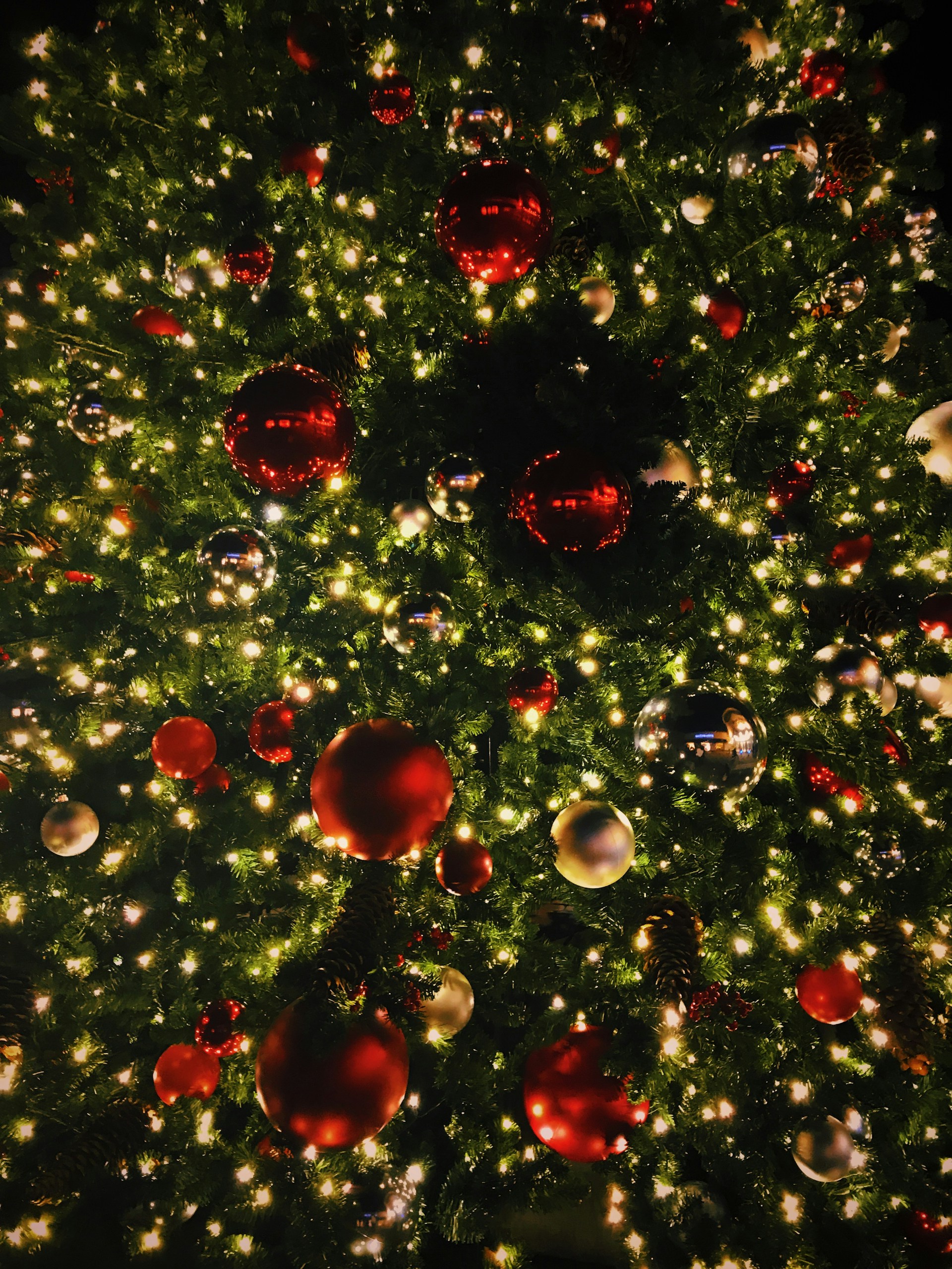 view photography of Christmas tree with baubles and lighted string lights