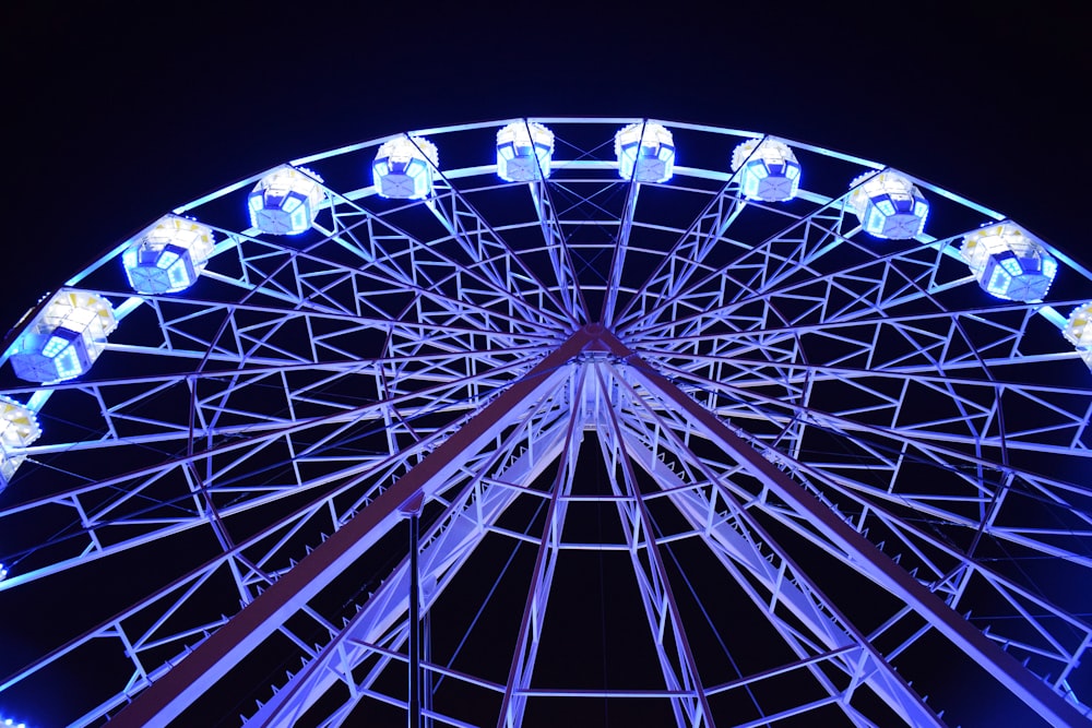 white Ferris Wheel with lights