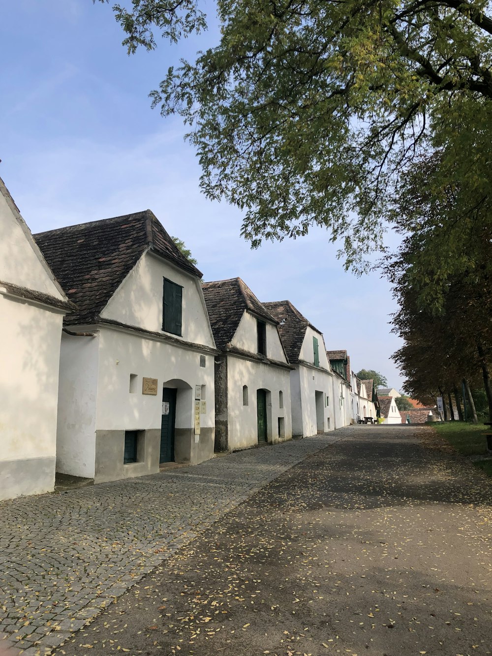 white concrete houses