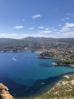 aerial photography of sea and buildings during daytime