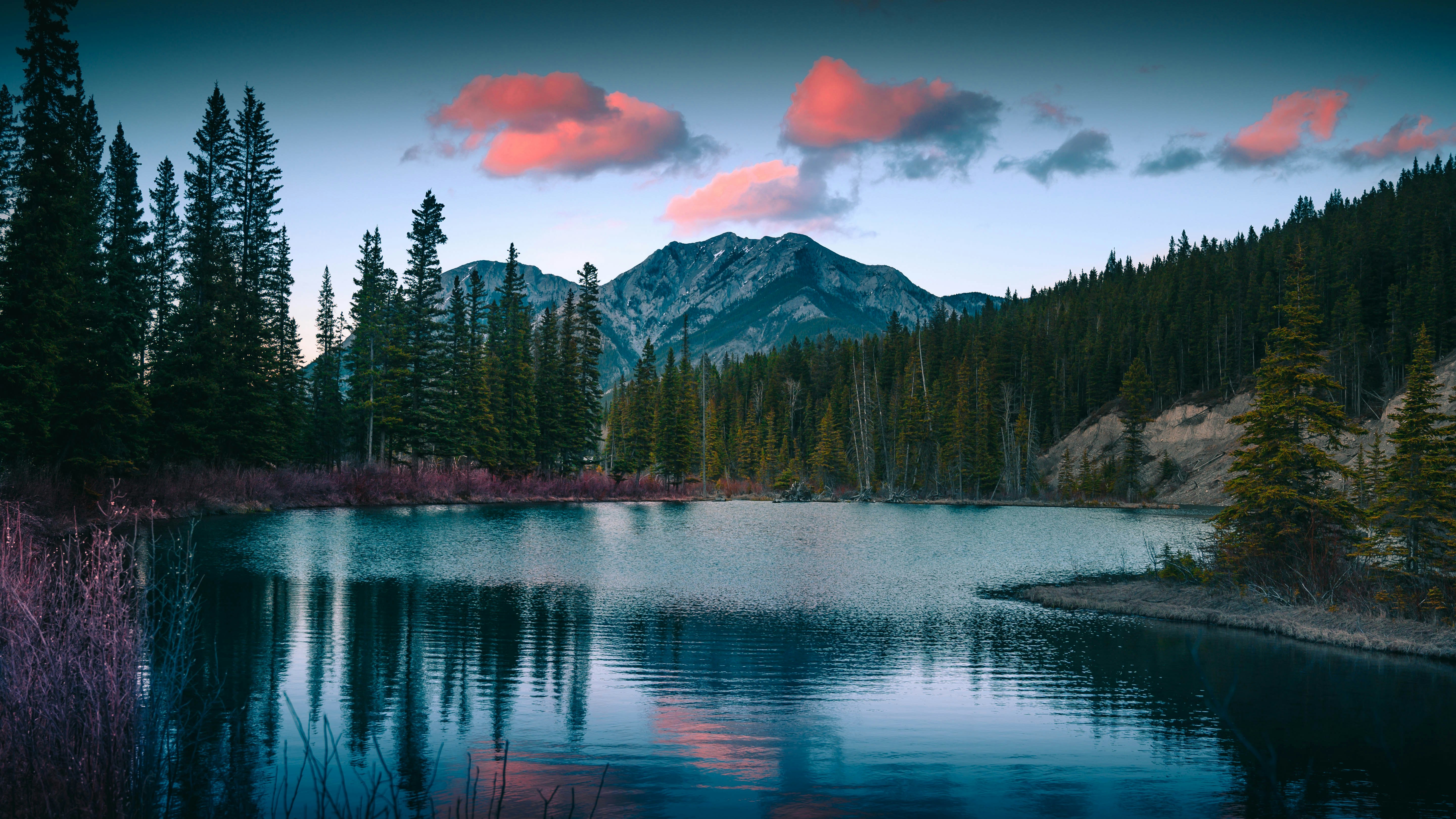 calm lake surrounded with trees near mountain at daytime