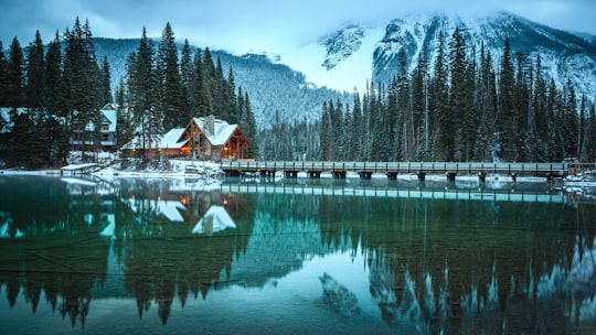 brown wooden house near calm water in Yoho National Park Of Canada Canada