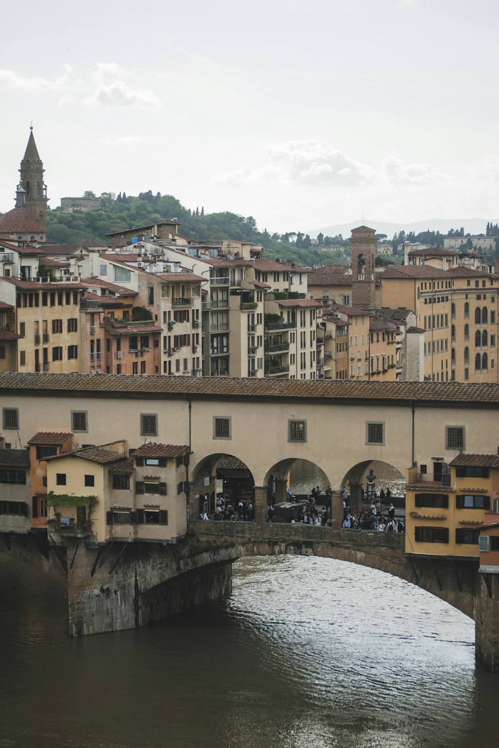 beige and brown bridge during daytime