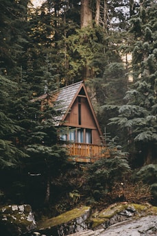 brown and grey wooden cabin surrounded by trees