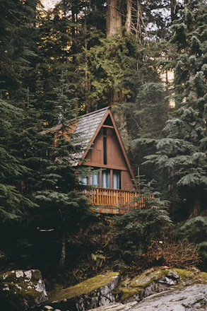 brown and grey wooden cabin surrounded by trees