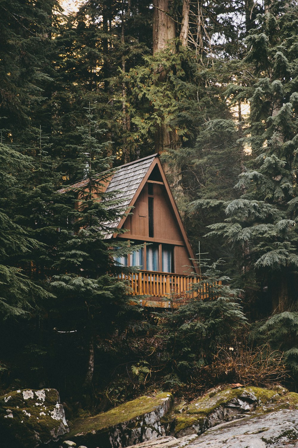cabana de madeira marrom e cinza cercada por árvores