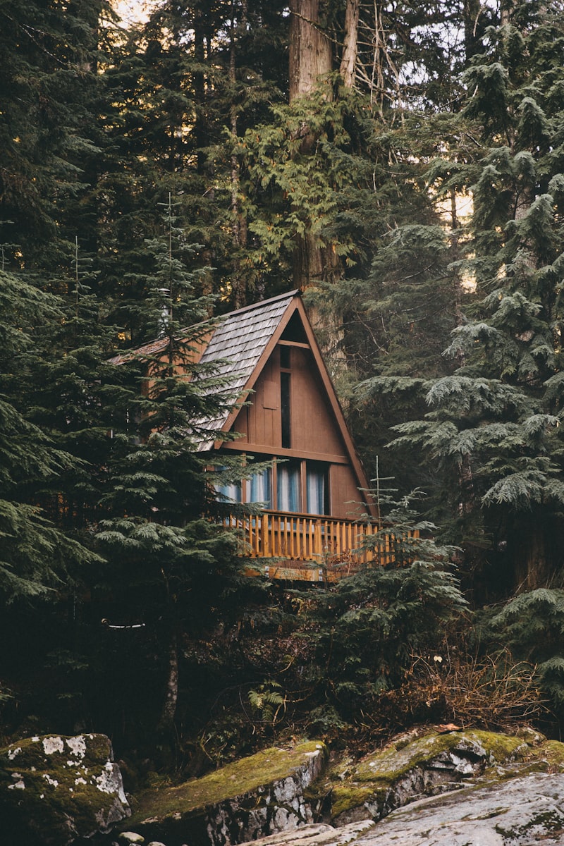 Wooden cabin surrounded by trees