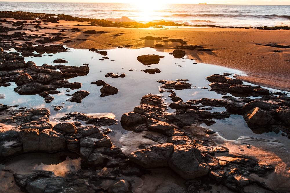 rocks on shore