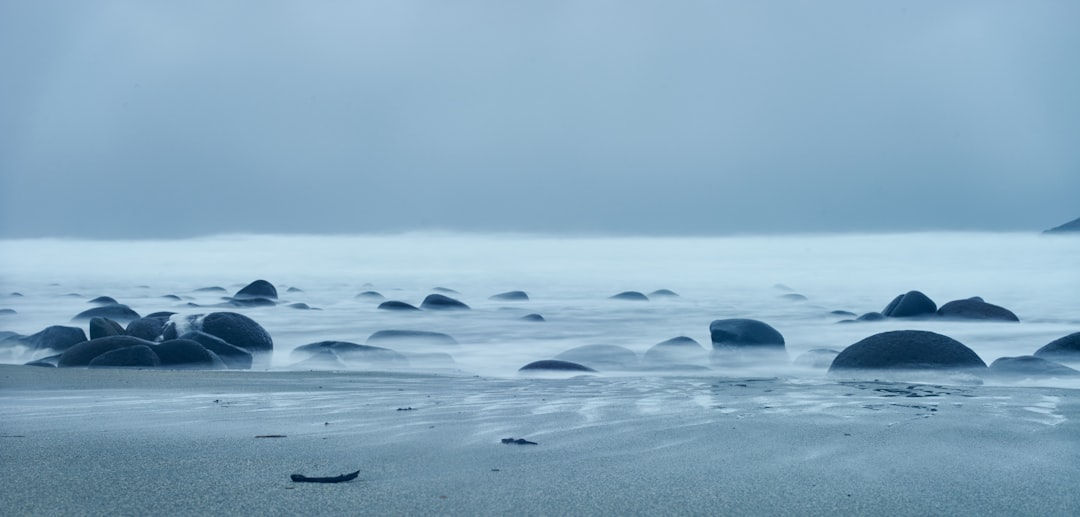 black seashore rocks during daytime