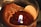 A close-up view of a lit candle with partially melted wax. The flame is small, and the wick is visible, surrounded by a smooth, glossy surface of solidified wax. The edges of the wax appear uneven and textured.