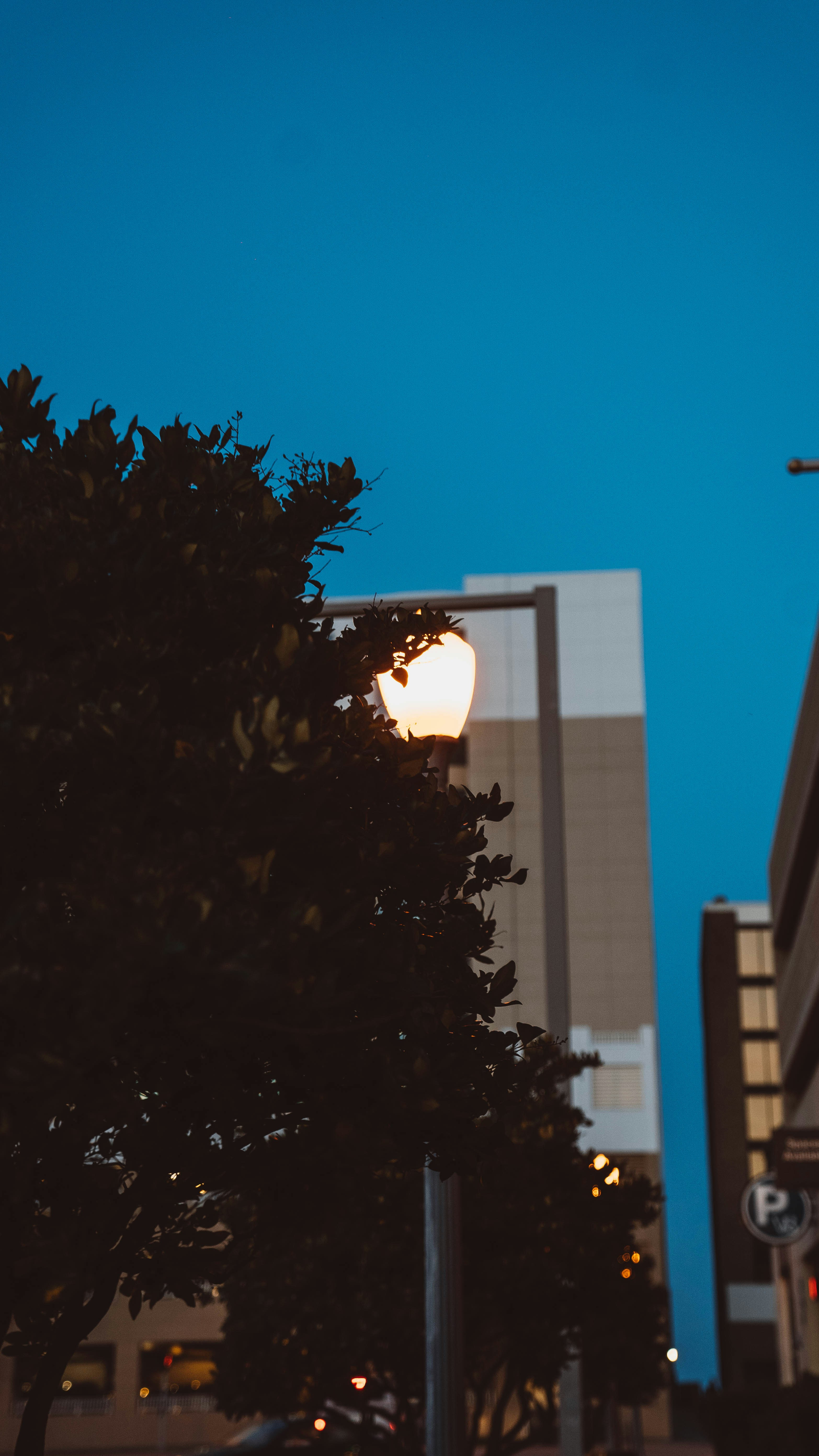 Photo by westphotoandvideo