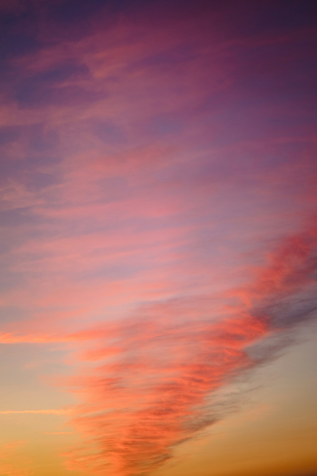 sea of clouds during sunset