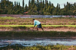 Researchers collecting soil samples in a terraced field