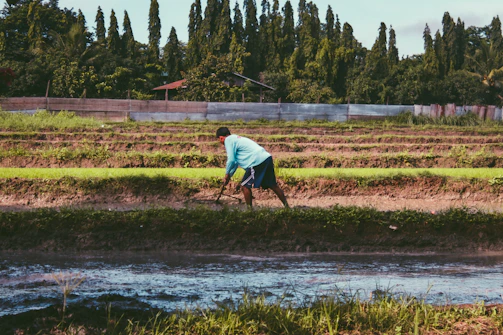 Researchers collecting soil samples in a terraced field