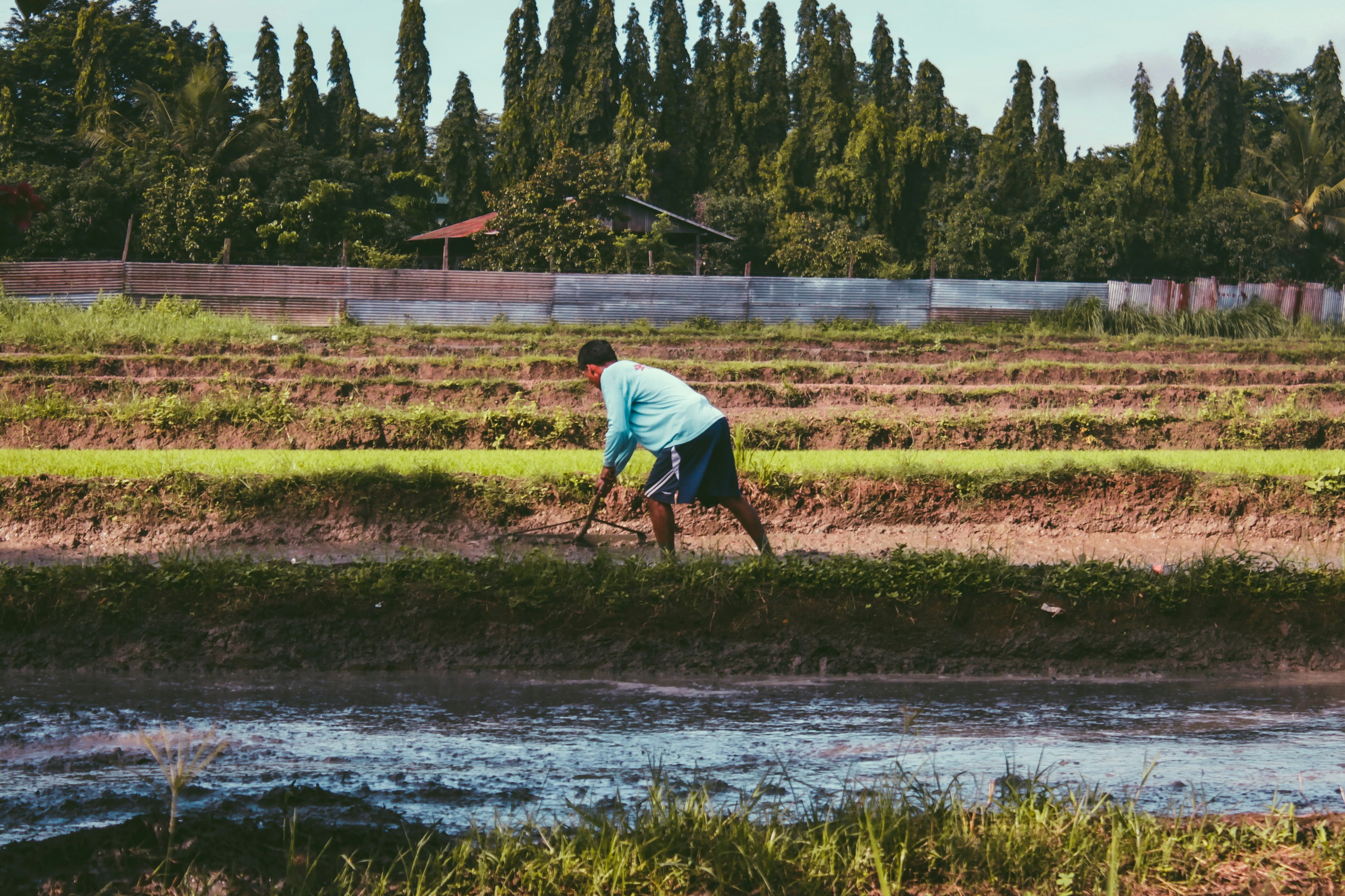 man farming on plant field during day