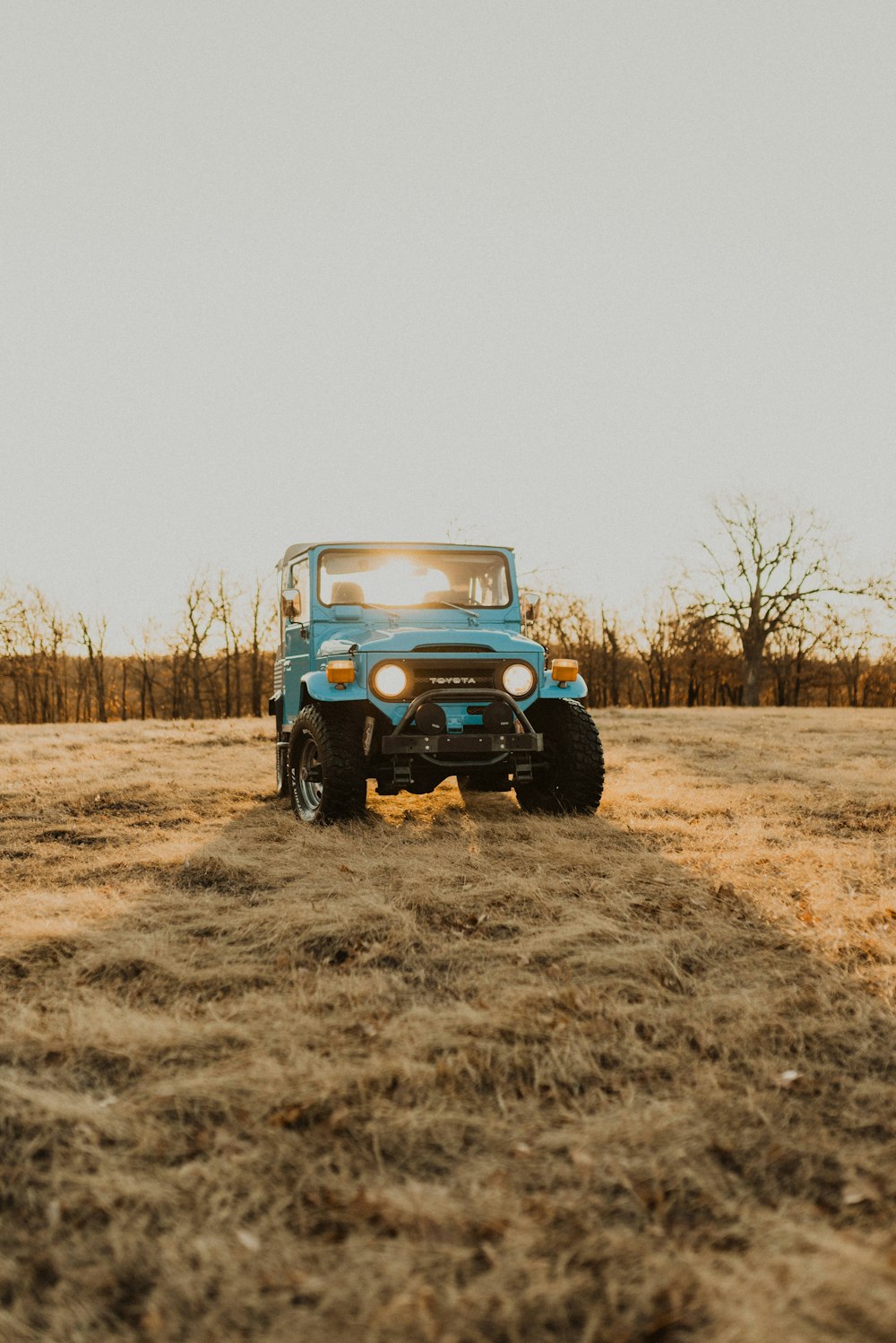blue off-road vehicle on grass field
