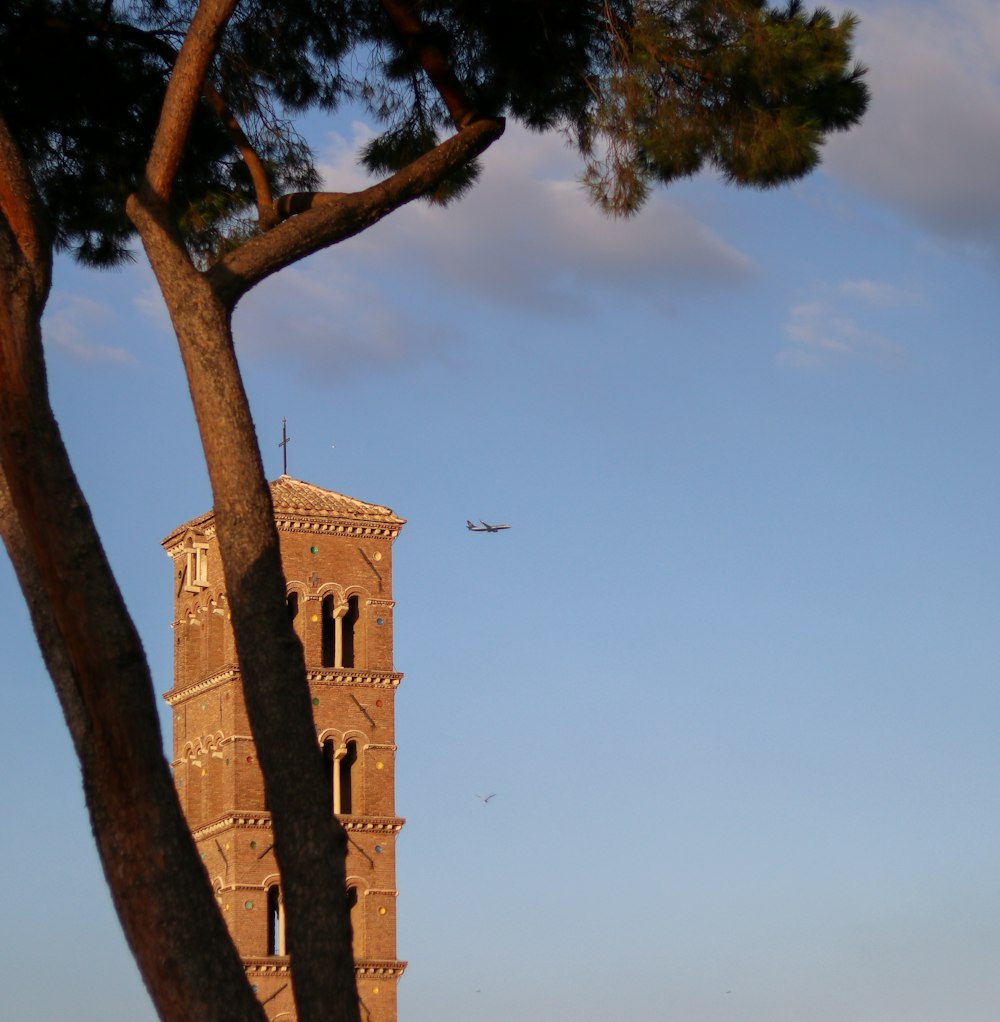 airplane in mid air near tower during day