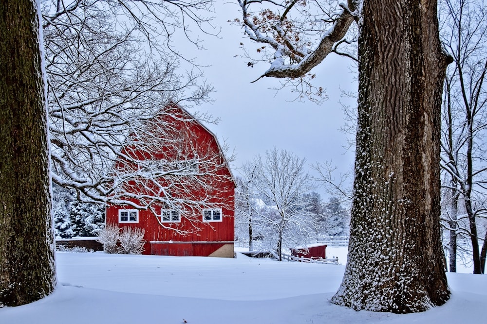 red concrete house near trees