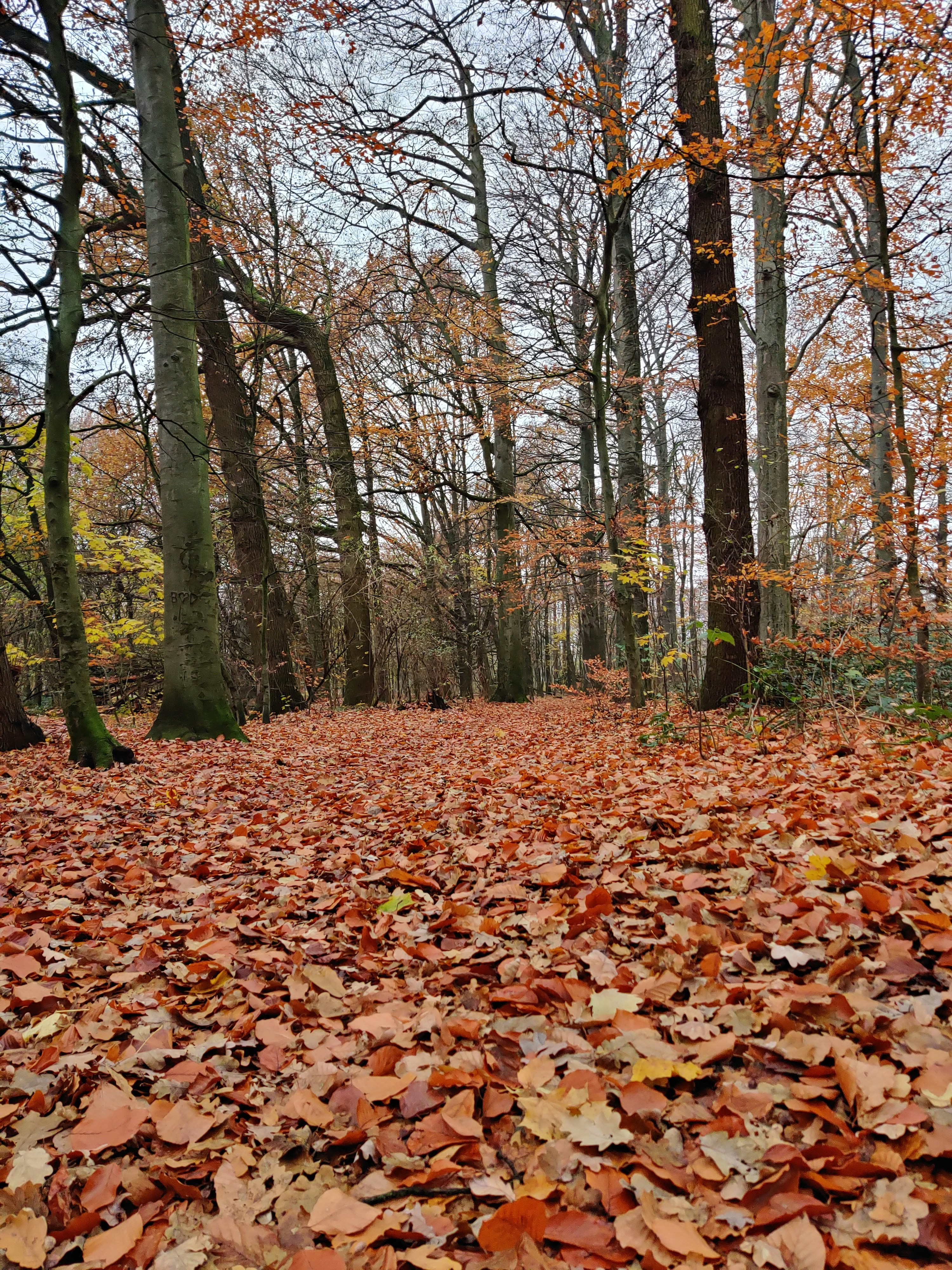 Photo by vivekgourav