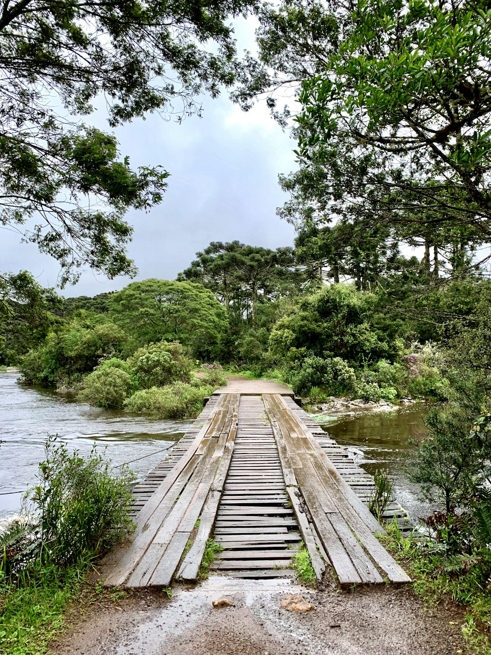 brown wooden bridge viewing lake and green tree under blue and white sky during daytime