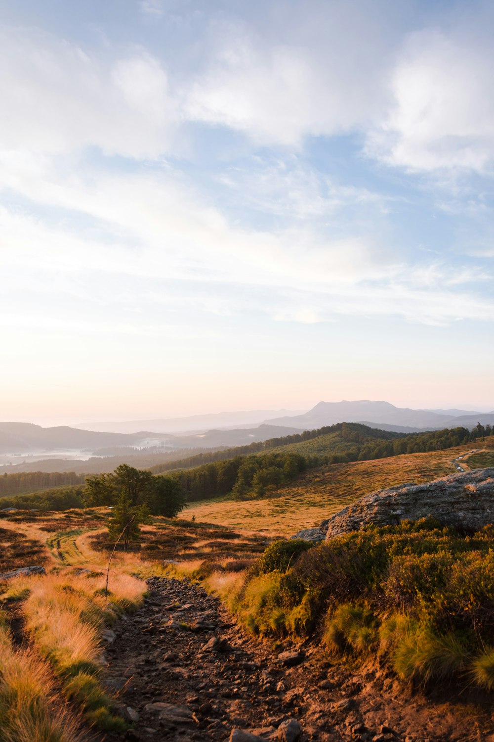 grass and rocky field during day