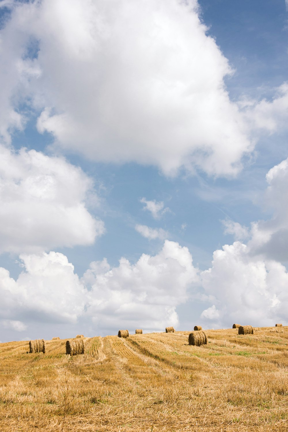 hay rolls on grass field during day