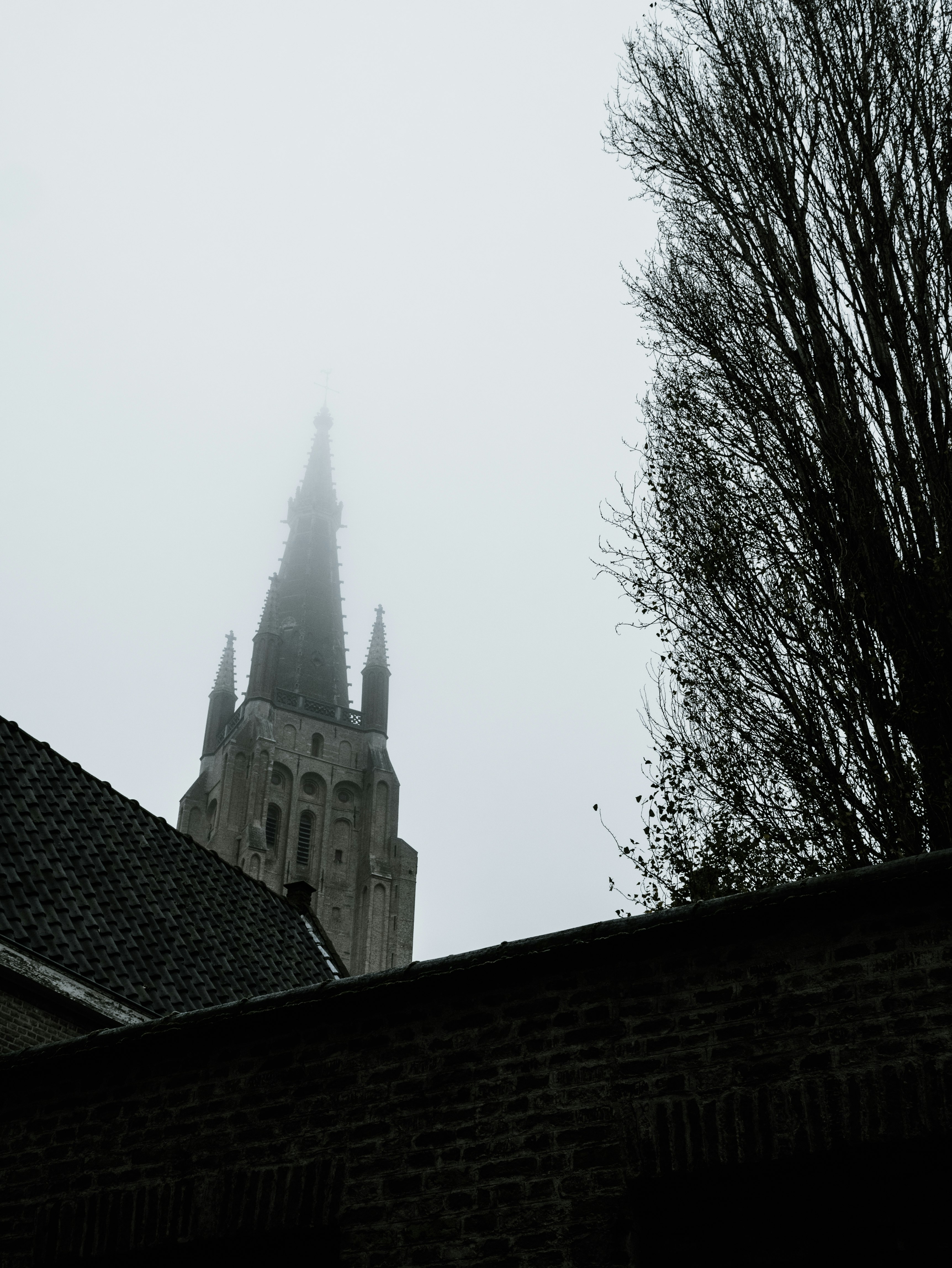 buildings and bare tree during day