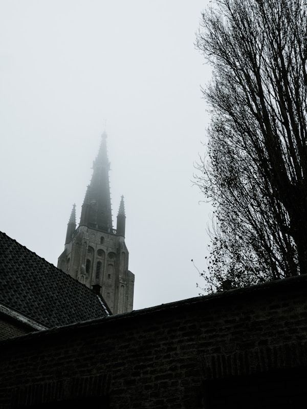 What to See in Belfort: A Geographer's Travel Guide