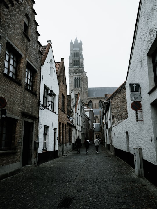 white and brown houses in Bruges Belgium