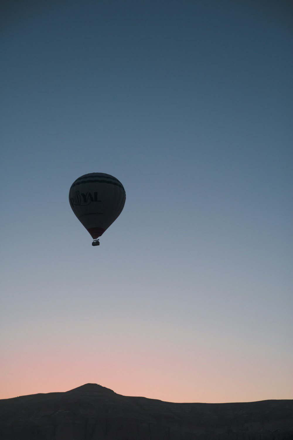 white and brown hot air balloon