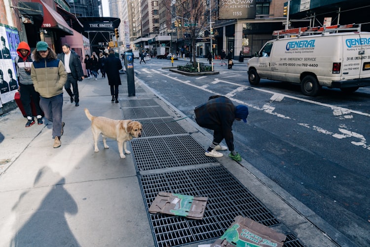 Someone picking up their dog's poop