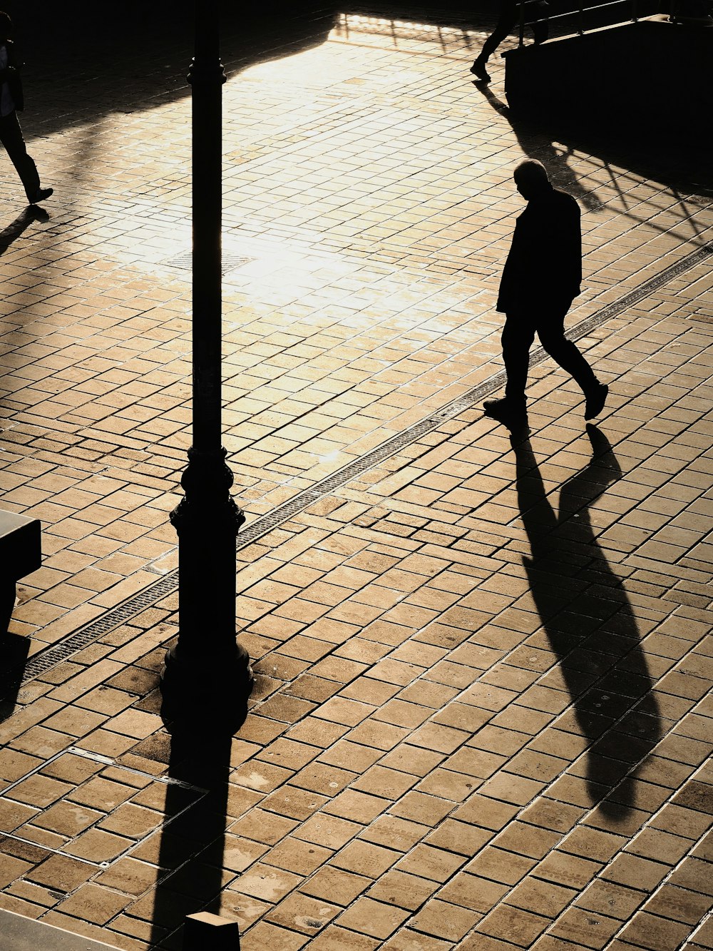 silhoutette photo of man