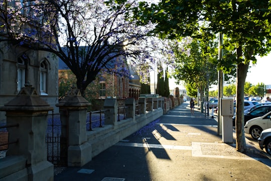 view photography of sidewalks between vehicles and houses during daytime in Adelaide SA Australia