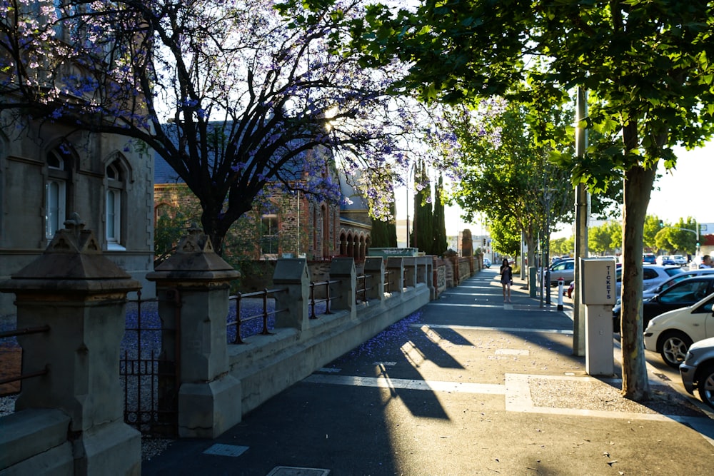 view photography of sidewalks between vehicles and houses during daytime