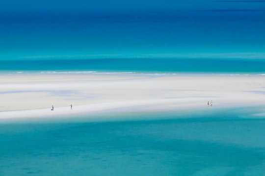 few people on beach during daytime in Whitsunday Island Australia