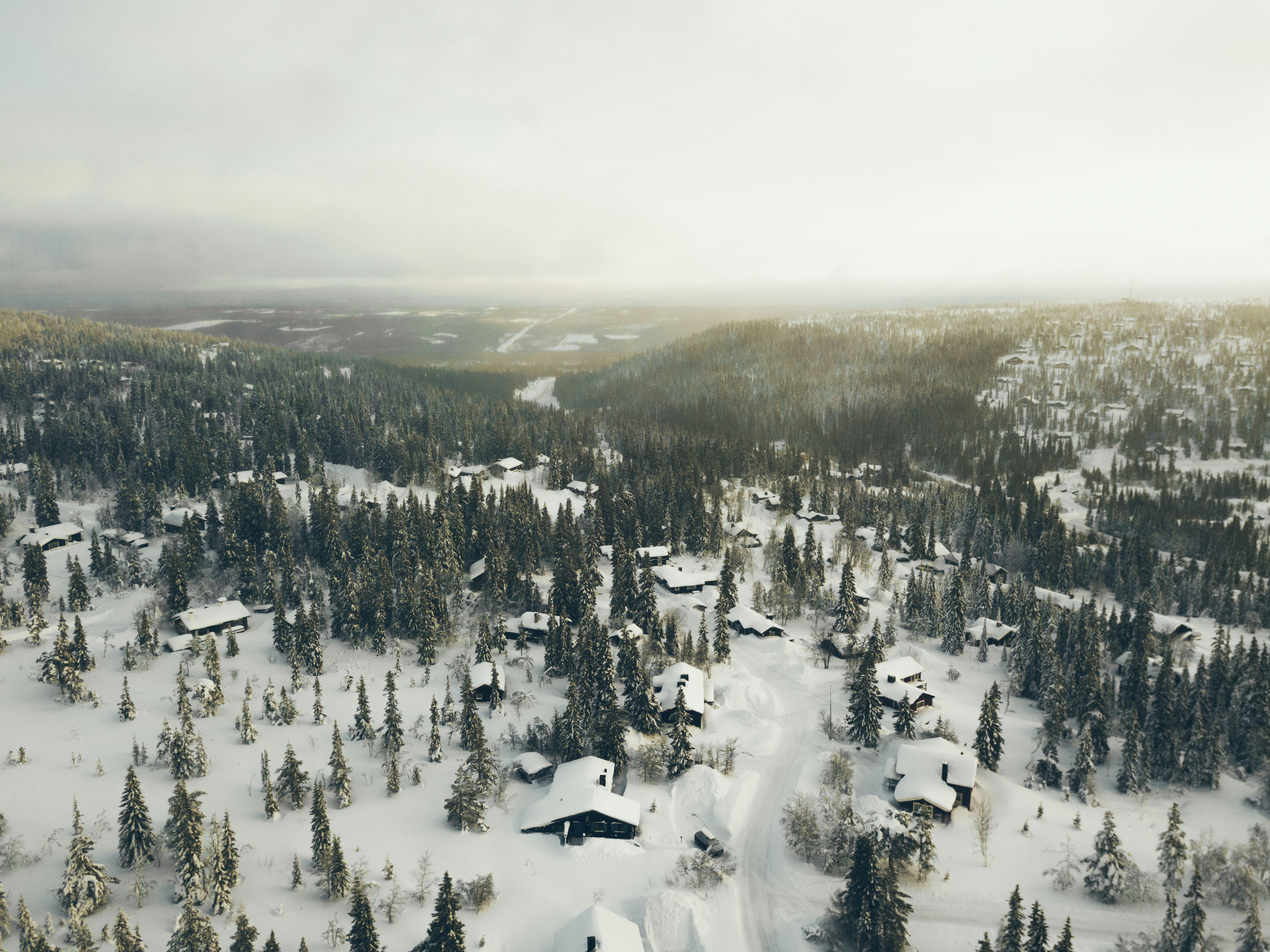 Photo by odelberth