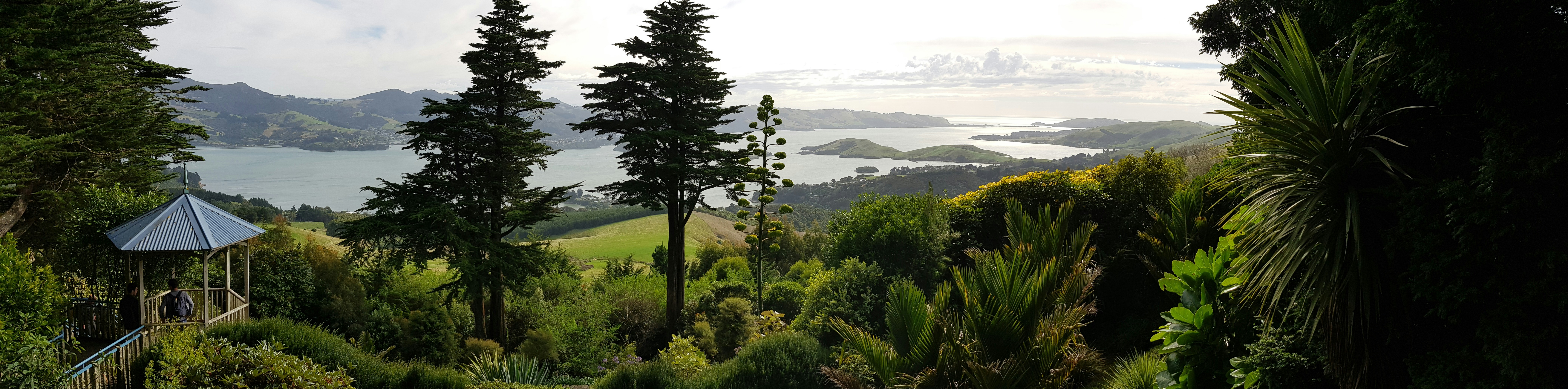 Image by Shutter Sphere Collective via Unsplash