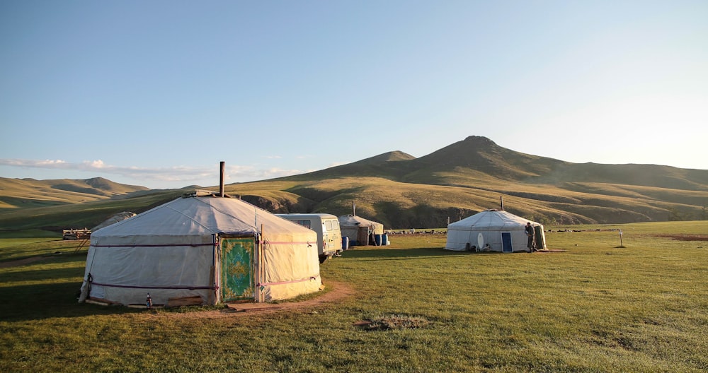 Carpas blancas en el campo