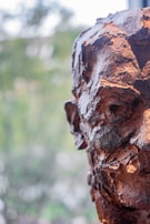 A close-up view of a textured, metallic sculpture of a human face. The surface appears rugged and uneven, with varying shades of copper and bronze accentuating the facial features. The background is blurred and consists of natural greenery, giving a sense of depth and contrast to the sharp details of the sculpture.