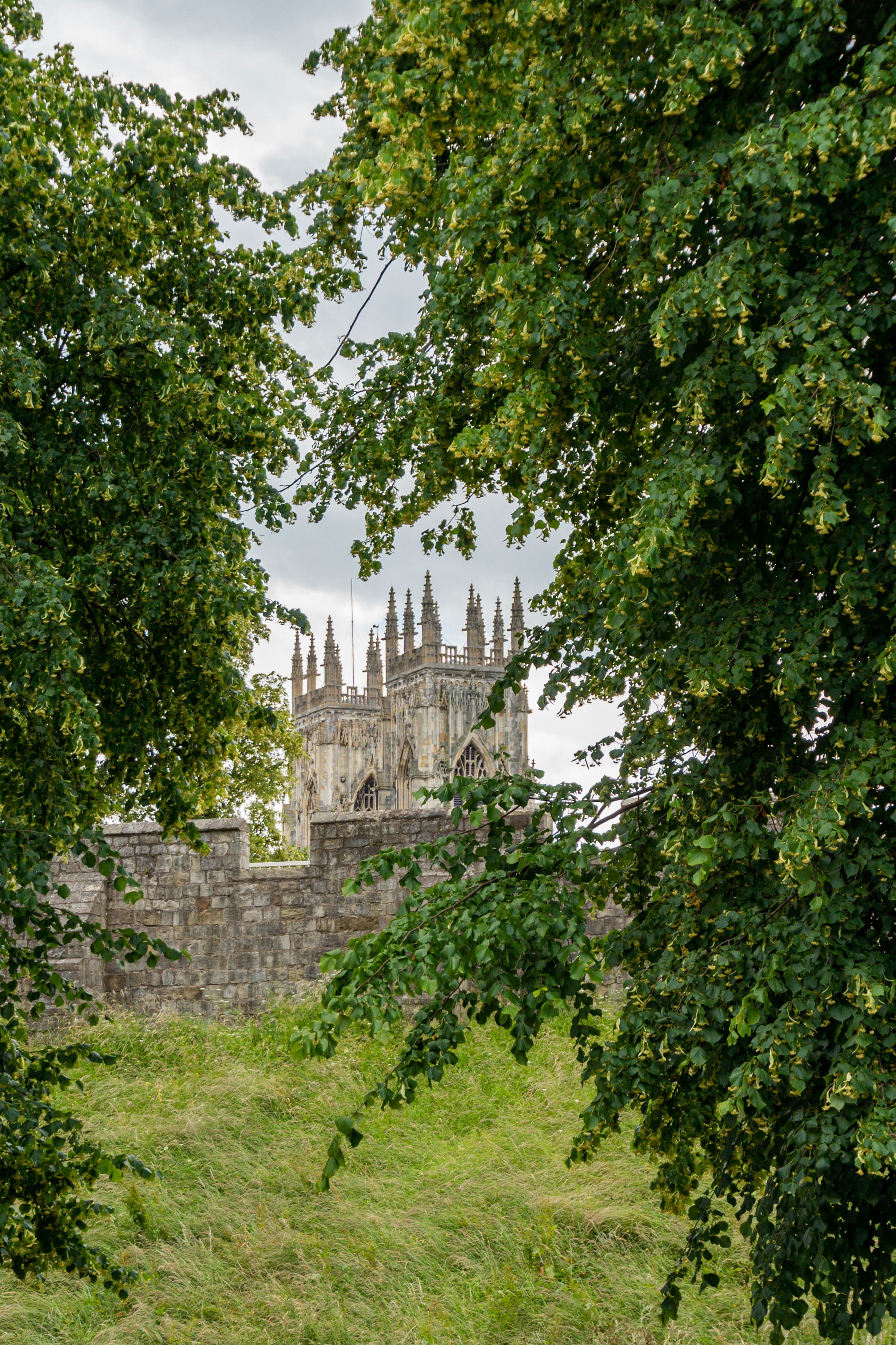 The York Minster through the trees, like a magnificent modern day medieval castle.