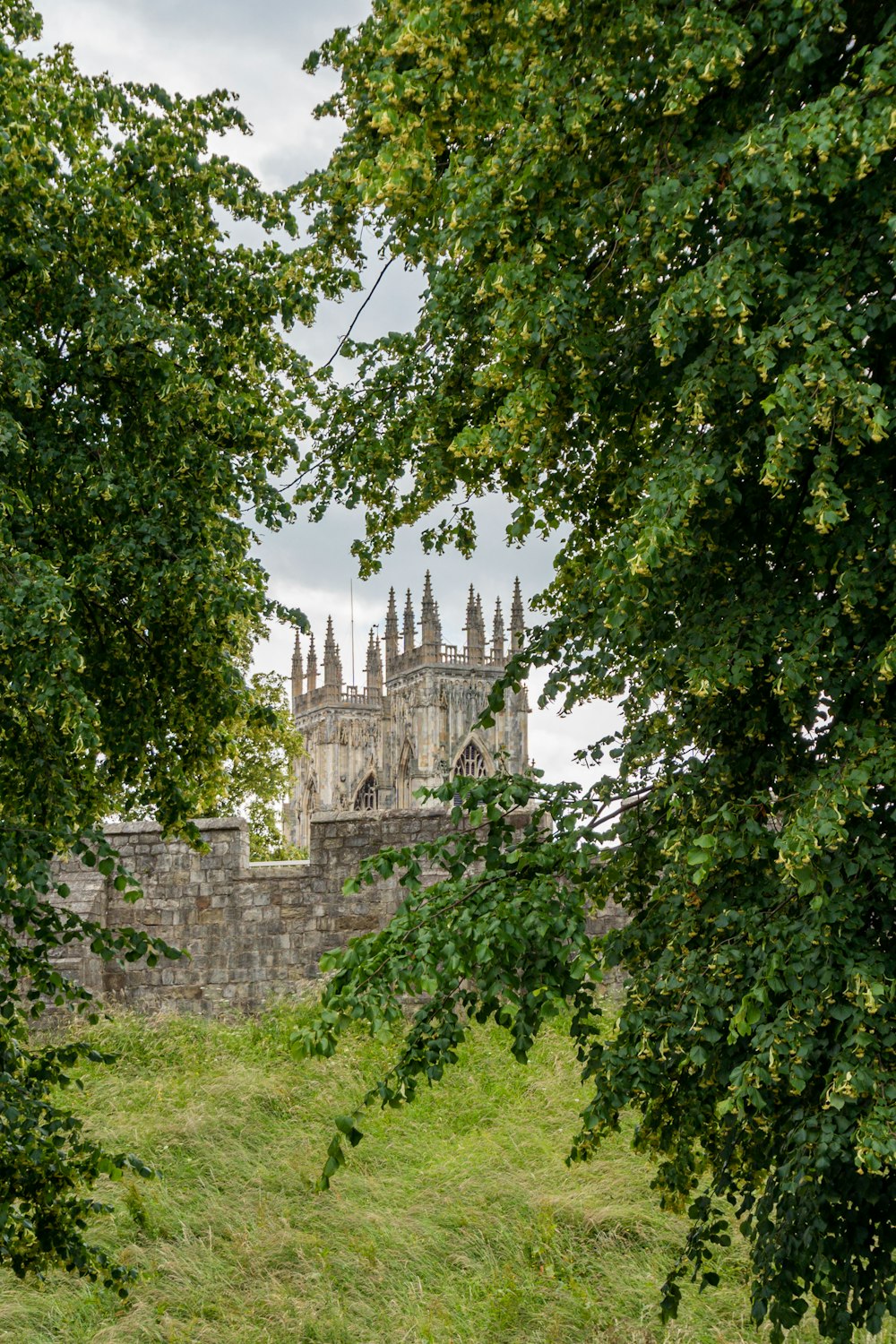 castle near trees