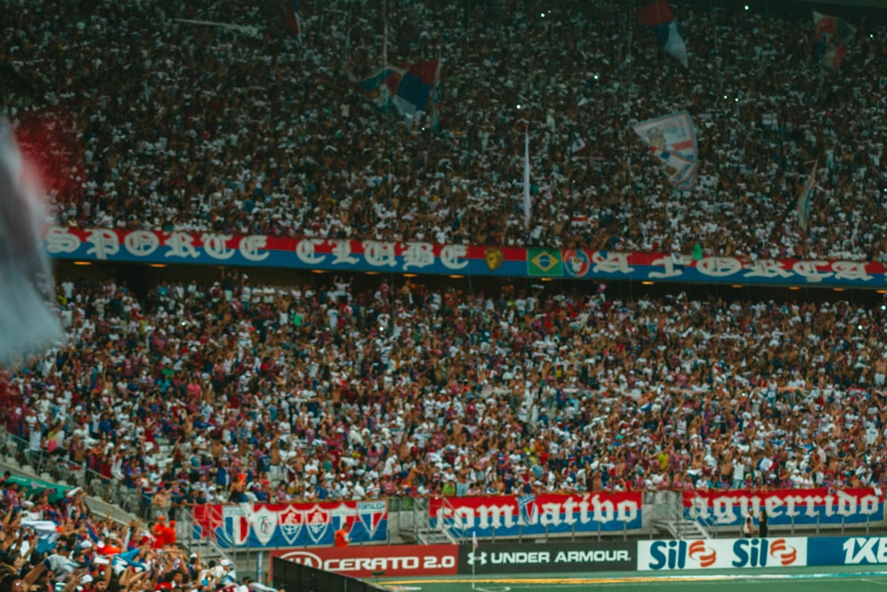 people watching soccer on the arena