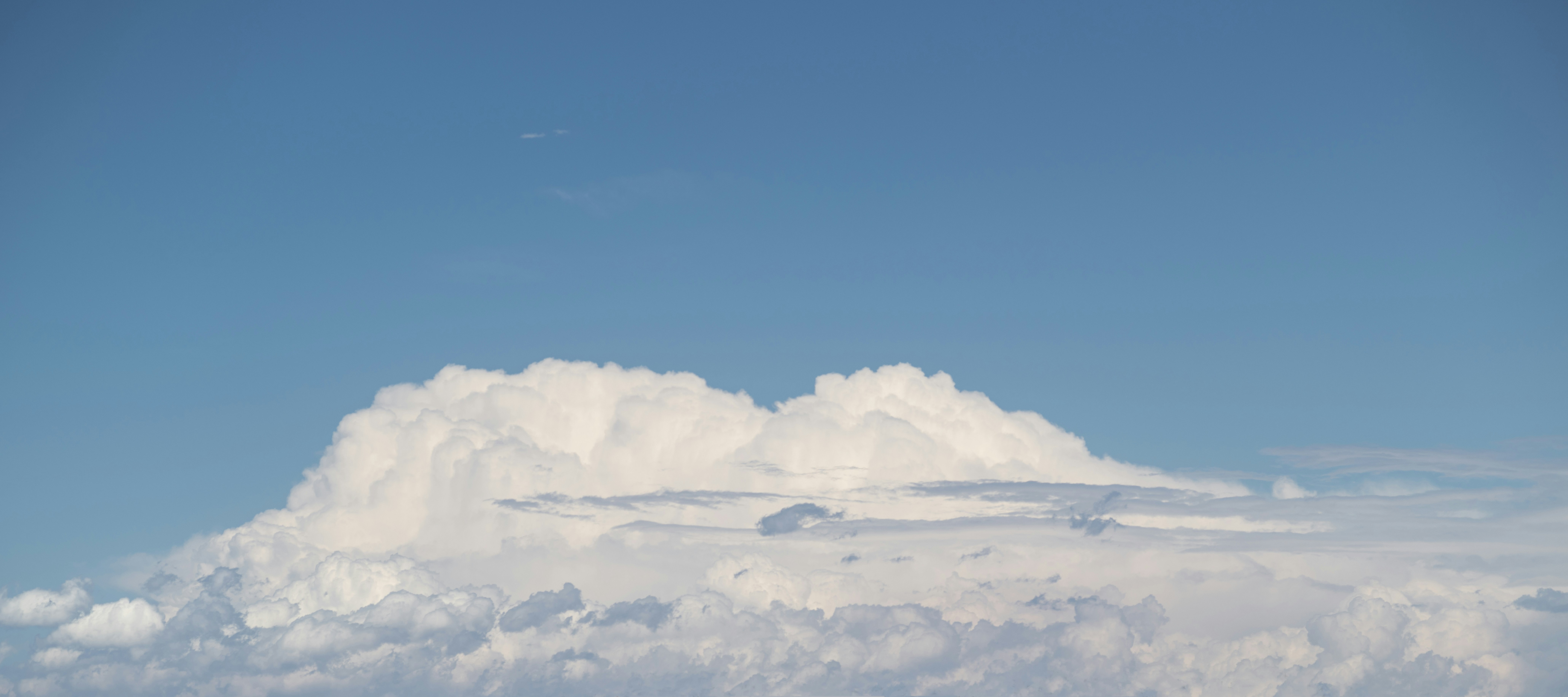 Photo by georgerosema